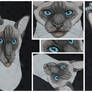 3D - Portraits: Siamese cat