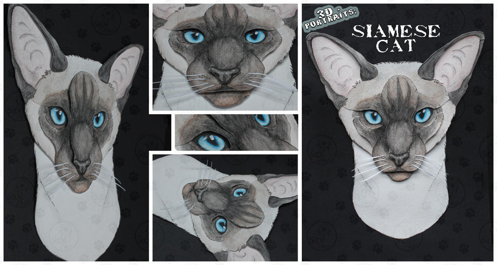 3D - Portraits: Siamese cat by SaQe