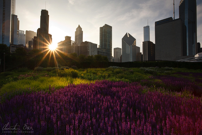 Chicago city light