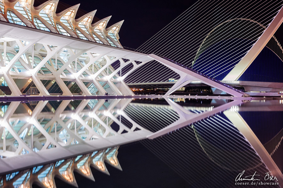 City of Arts and Science 4 by Nightline