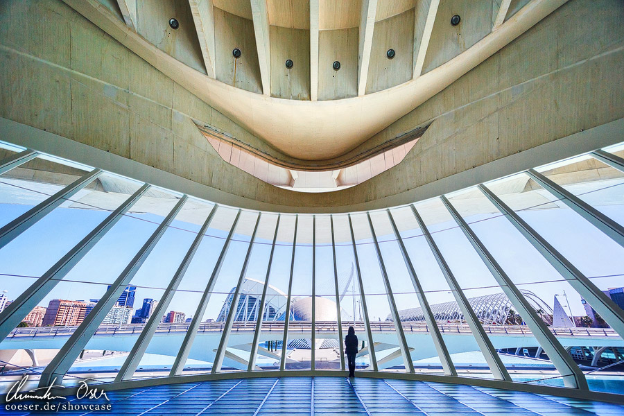 Palau de les Arts Valencia 02