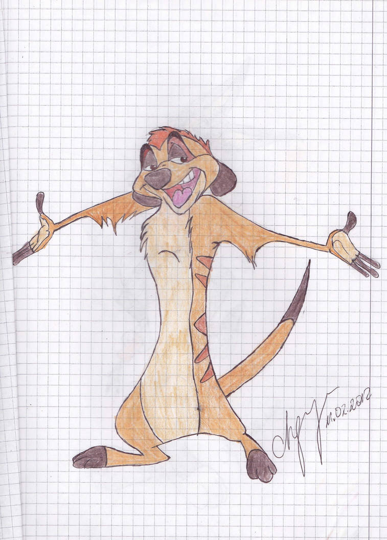 Timon by RoxVonD on DeviantArt