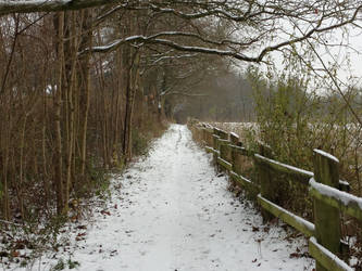 Peaceful Snowy Trail