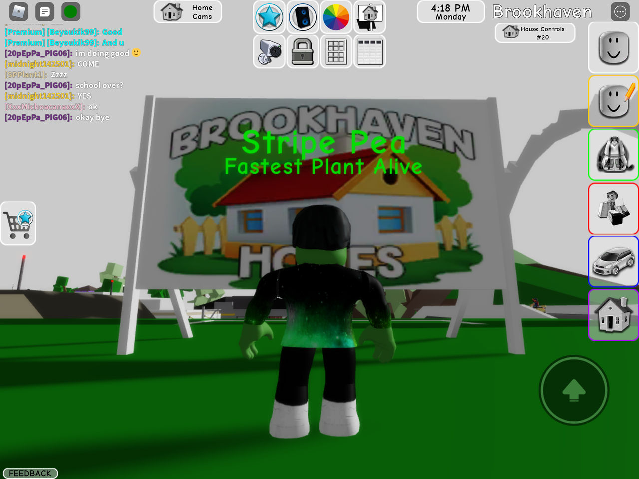 First Time Playing Brookhaven by StripeOfficialArt on DeviantArt