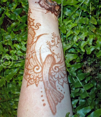 Henna Sparrow Stain