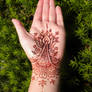 Henna Lotus Palm and Bracelet Stain