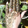 Henna Flowered Half Lace Hand