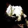 cave