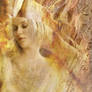 Hypne
