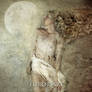 Moonlit Path
