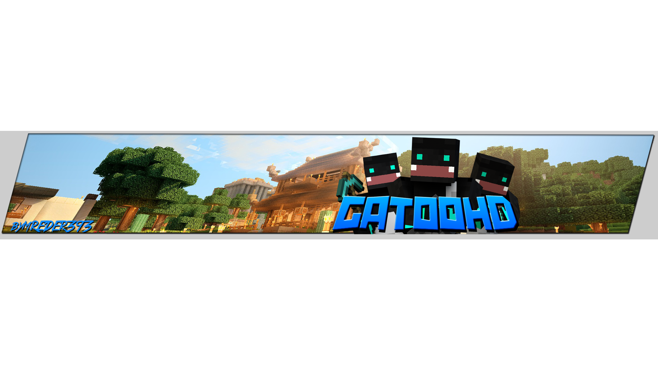 BannerGatooHD17