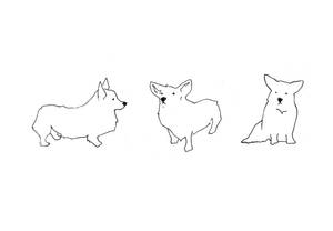 corgi sketch