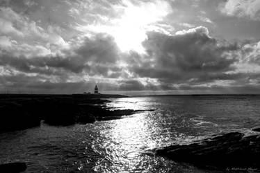 Hook Head BW