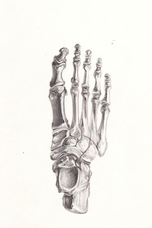 Skeleton Foot by AnnieGitUrGuns on DeviantArt