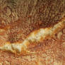 bread stock
