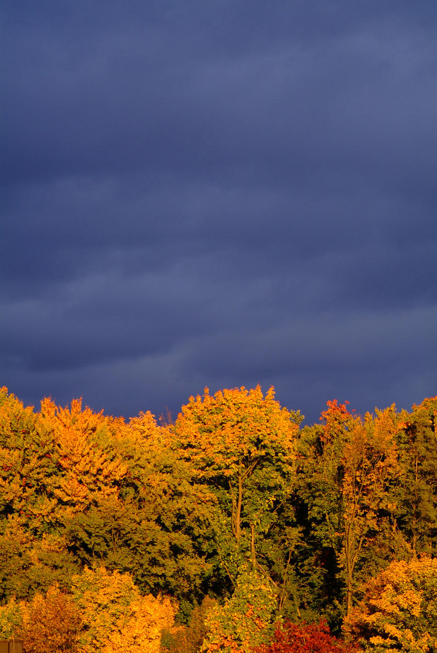 autumn cnc