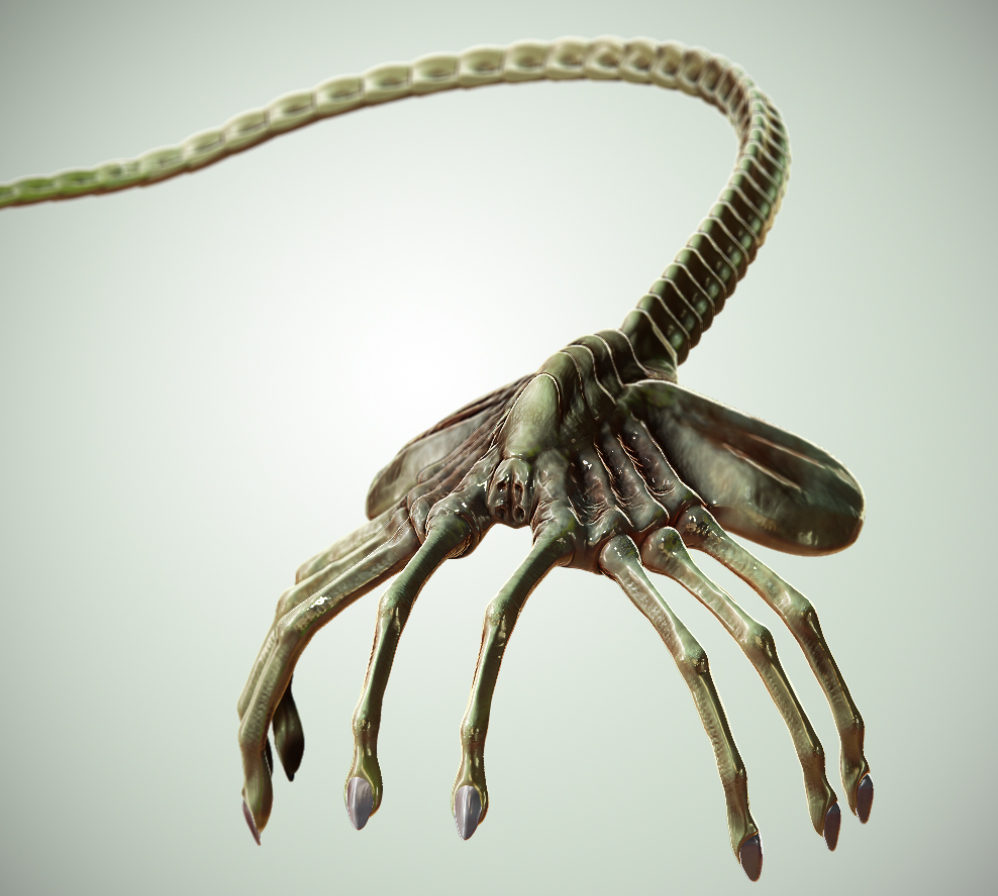 Facehugger V2