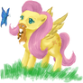 Fluttershy