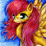 Fluttershy..