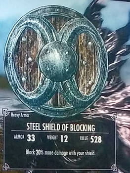 Steel shield of blocking