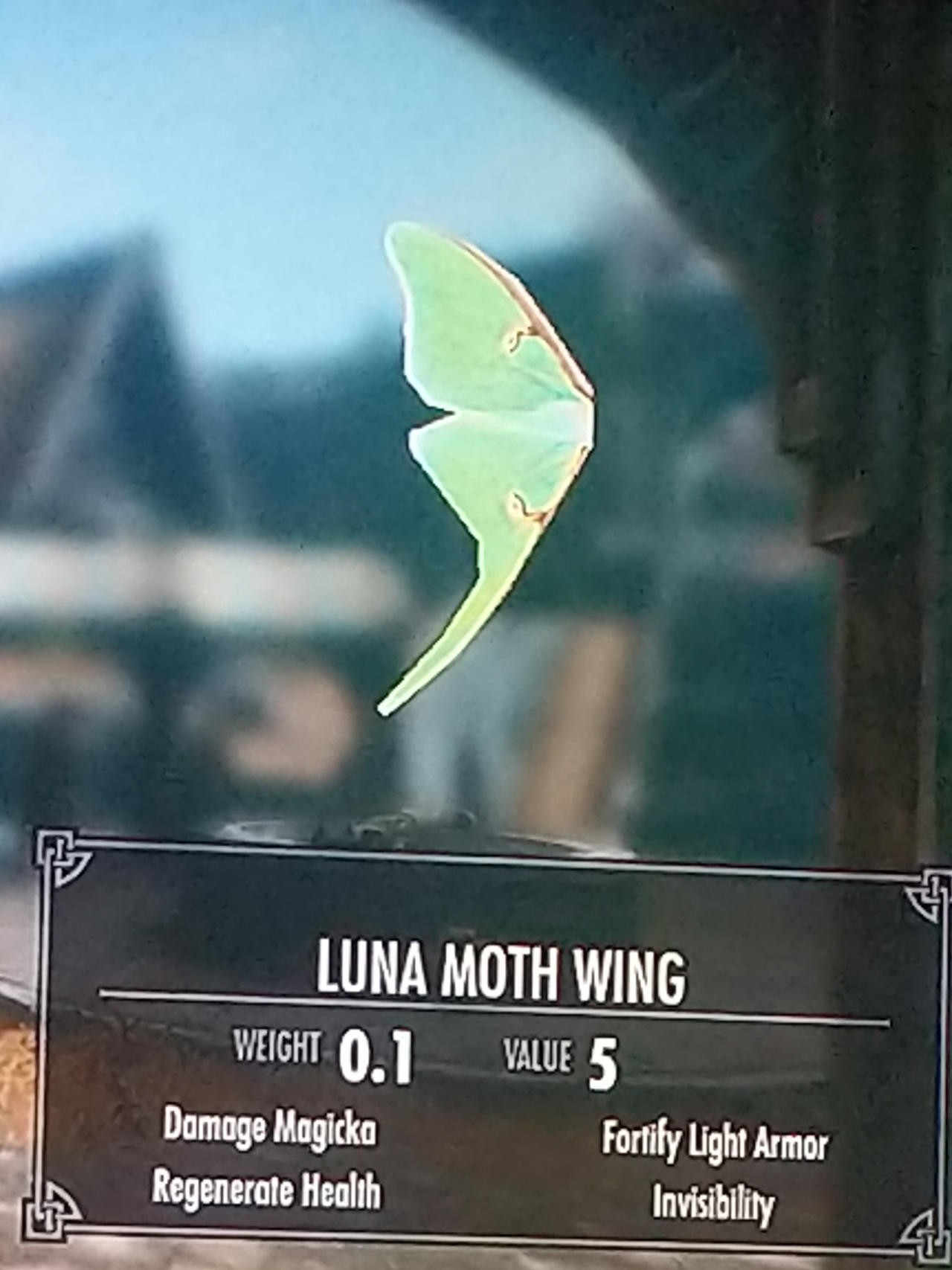 Luna Moth Wing By Kingmasn22 On DeviantArt luna-moth-wing-by-kingmasn22-on-deviantart