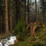 Hill by the Stream Premade Background