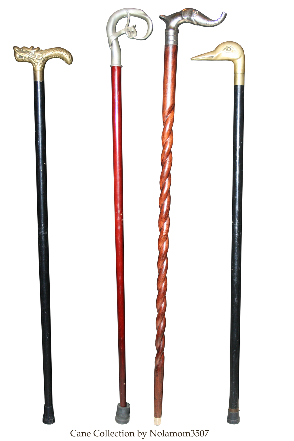 Cane Collection