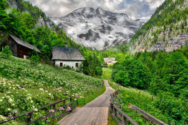 Alpine Spring Premade Background