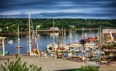 Maine Harbor