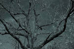 Dark Tree by Aleeeek
