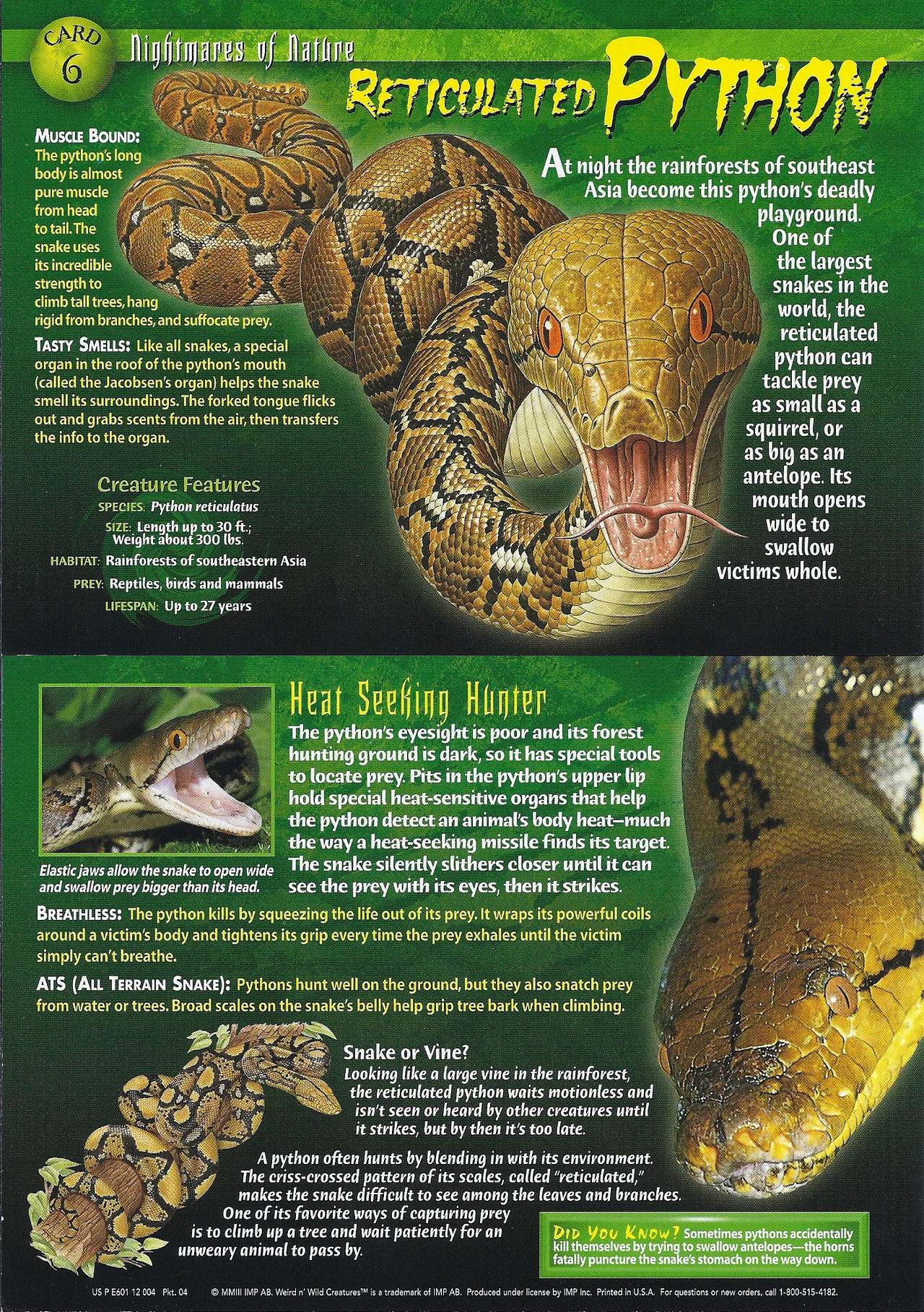 WWC NN #6 Reticulated Python by ajolley785727 on DeviantArt