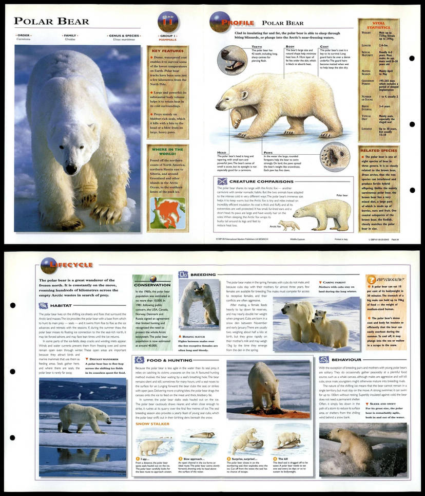 My Image 28