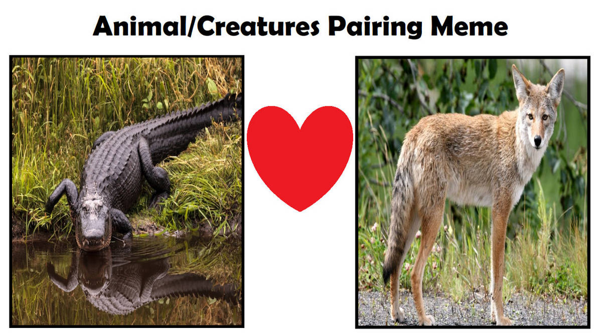 My Animal Creatures Pairing Meme (Normal) 2 by ajolley785727 on DeviantArt