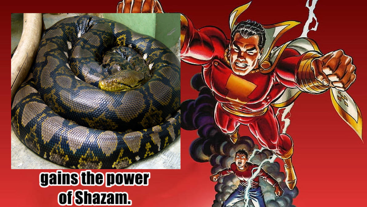 Reticulated Python gains the power of Shazam by ajolley785727 on DeviantArt