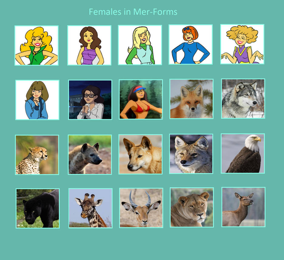 My Female Mer-Forms by ajolley785727 on DeviantArt