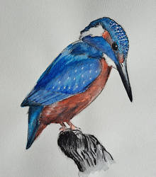 Kingfisher (watercolour)