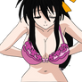 Akeno Himejima Wearing Lingerie