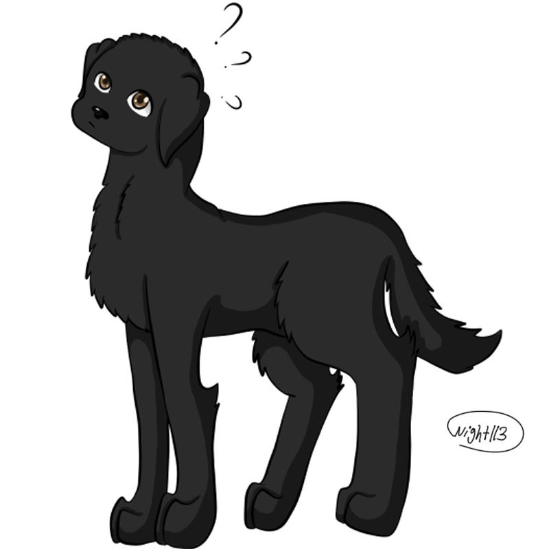 Black Lab Deviantart Black Labrador by Night113 on DeviantArt