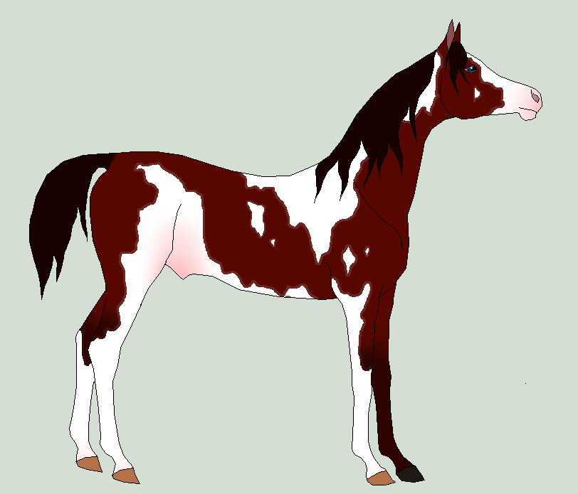 possible yearling 7