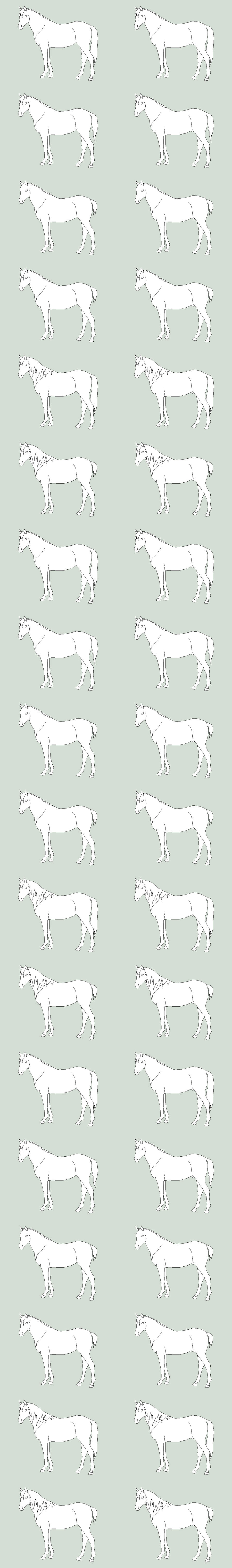 HUGE horse adption sheet