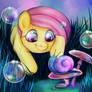 My little Fluttershy