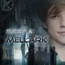 peeta mellark movie poster