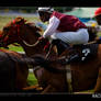 Racing Horses II