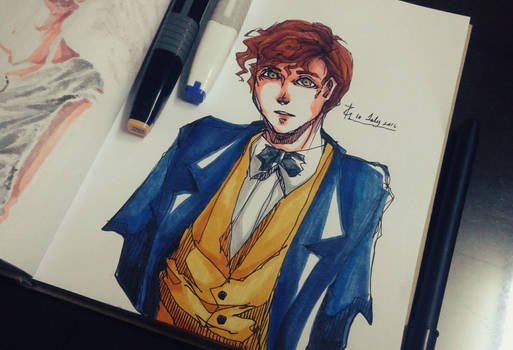 29 - Newton Artemis Fido 'Newt' Scamander