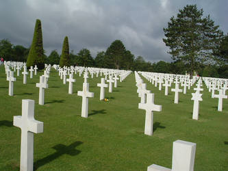 Field full of Crosses