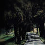 The Road To Happiness