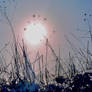 Happy New Year (L.O.V.E.)