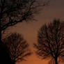 Finality (Good Night)