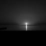 A Study in Vastness