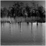 Heart Of Darkness